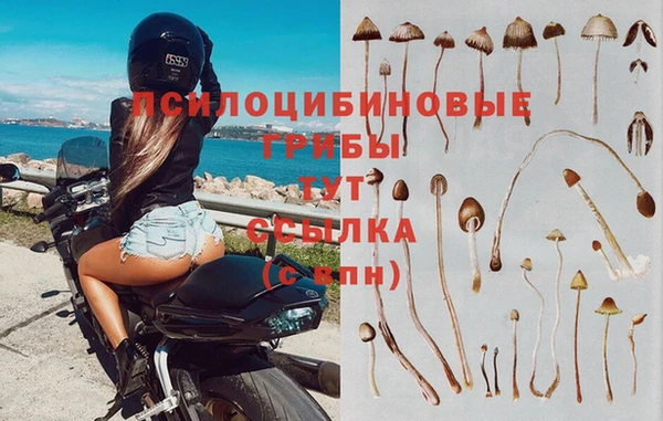 синтетический гашиш Новозыбков