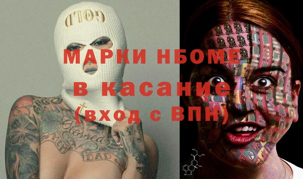 стаф Новодвинск