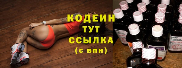 стаф Новодвинск
